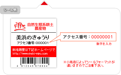 ANZXԍ̃V[